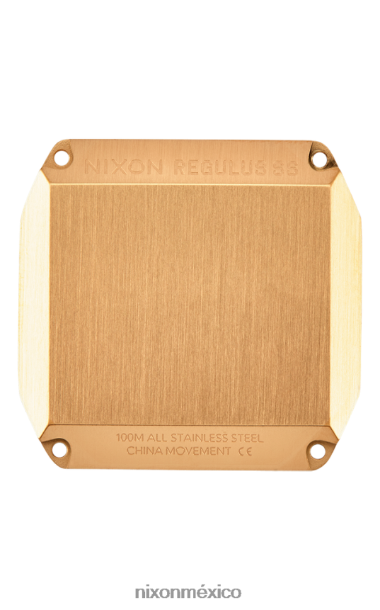 Nixon acero inoxidable regulus Z2VL2N212 mirar todo oro